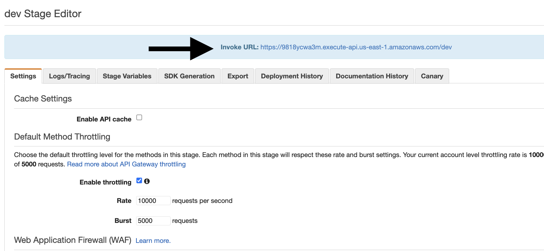AWS API Gateway Testing: In the dev stage, view the Invoke URL and test the API by appending /healthcheck.
